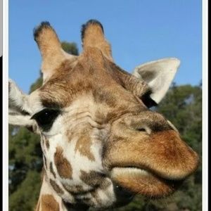 Meet your Posher, Lori